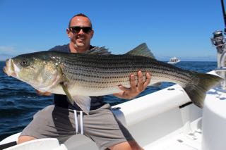 Orleans Cape Cod Fishing - Late August 2016