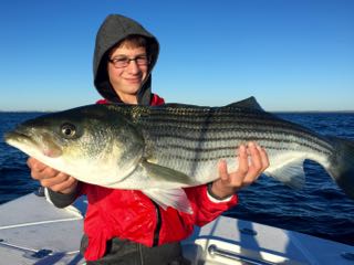 Orleans Cape Cod Fishing - Late August 2016