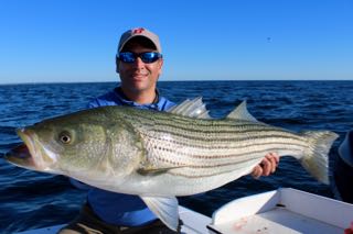 Orleans Cape Cod Fishing - Late August 2016