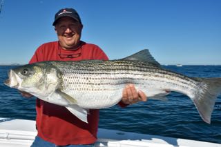 Provincetown Fishing Charters - Late June 2016