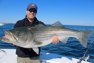 Provincetown Fishing Charters - Late June 2016