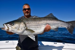 Provincetown Fishing Charters - Late June 2016