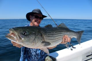 Provincetown Fishing Charters - Late June 2016