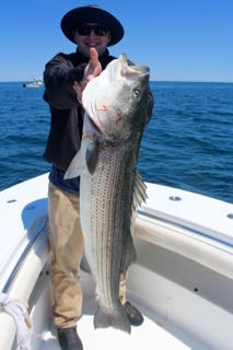 Provincetown Fishing Charters - Late June 2016