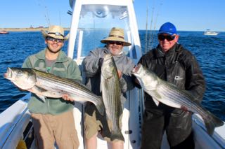 Provincetown Fishing Charters - Late June 2016