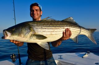 Provincetown Fishing Charters - Late June 2016
