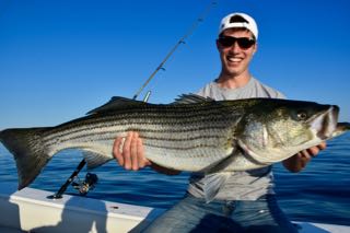 Provincetown Fishing Charters - Late June 2016