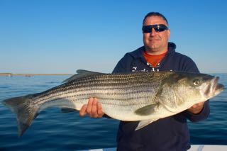 Provincetown Fishing Charters - Late June 2016