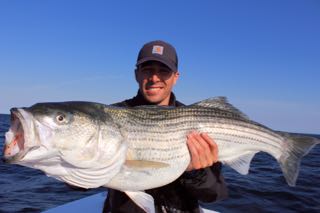 Provincetown Fishing Charters - Late June 2016