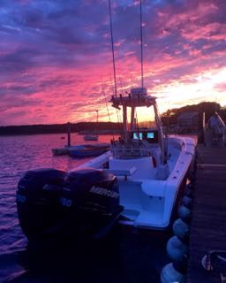 Provincetown Fishing Charters - Late June 2016