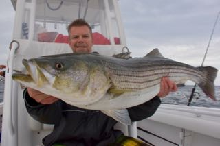 Provincetown Fishing Charters - Late June 2016