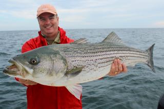 Provincetown Fishing Charters - Late June 2016
