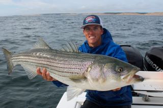 Provincetown Fishing Charters - Late June 2016
