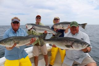Provincetown Fishing Charters - Late June 2016