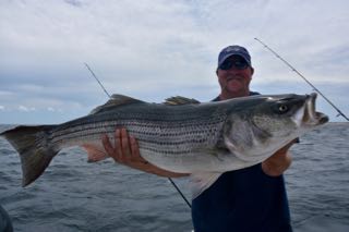 Provincetown Fishing Charters - Late June 2016