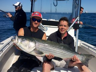 Provincetown Fishing Charters - Late June 2016