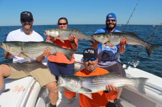 Provincetown Fishing Charters - Late June 2016
