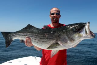 Provincetown Fishing Charters - Late June 2016