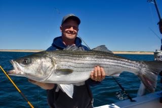 Provincetown Fishing Charters - Late June 2016
