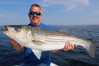 Light Tackle Striped Bass Fishing - Late May 2016