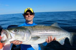 Cape Cod Summer is Here - Mid June 2016