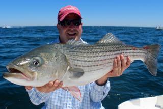 Cape Cod Summer is Here - Mid June 2016