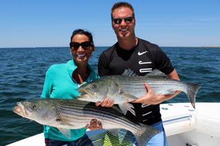 Cape Cod Summer is Here - Mid June 2016