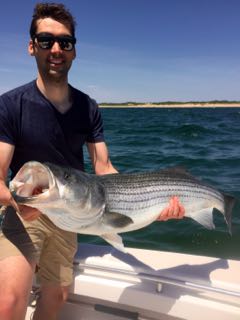 Cape Cod Summer is Here - Mid June 2016