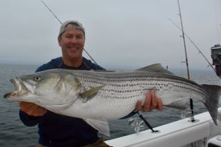 Truro Fishing Charters - Late June 2016