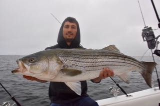 Truro Fishing Charters - Late June 2016